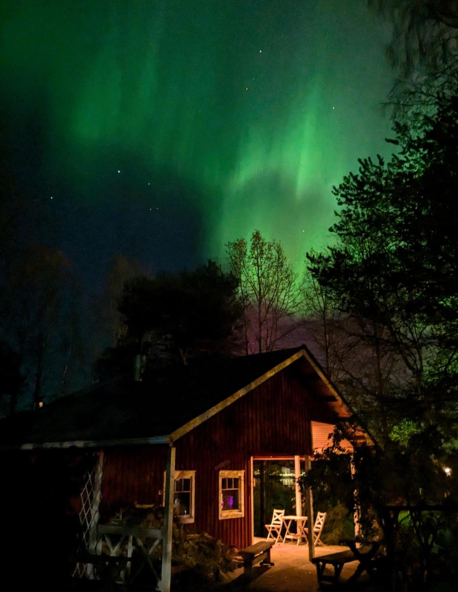 Santa'S Little Village - Hotel Uitonniemi Kemijarvi Bagian luar foto